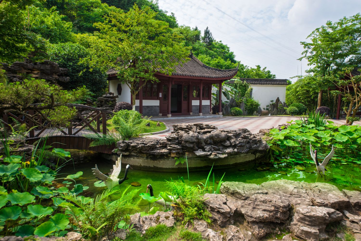 The Chinese gardenin Zürich