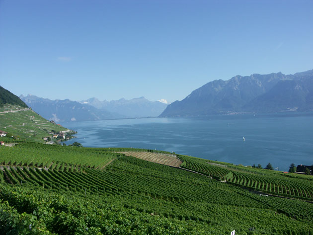 Lavaux er på UNESCO's verdensarvsliste