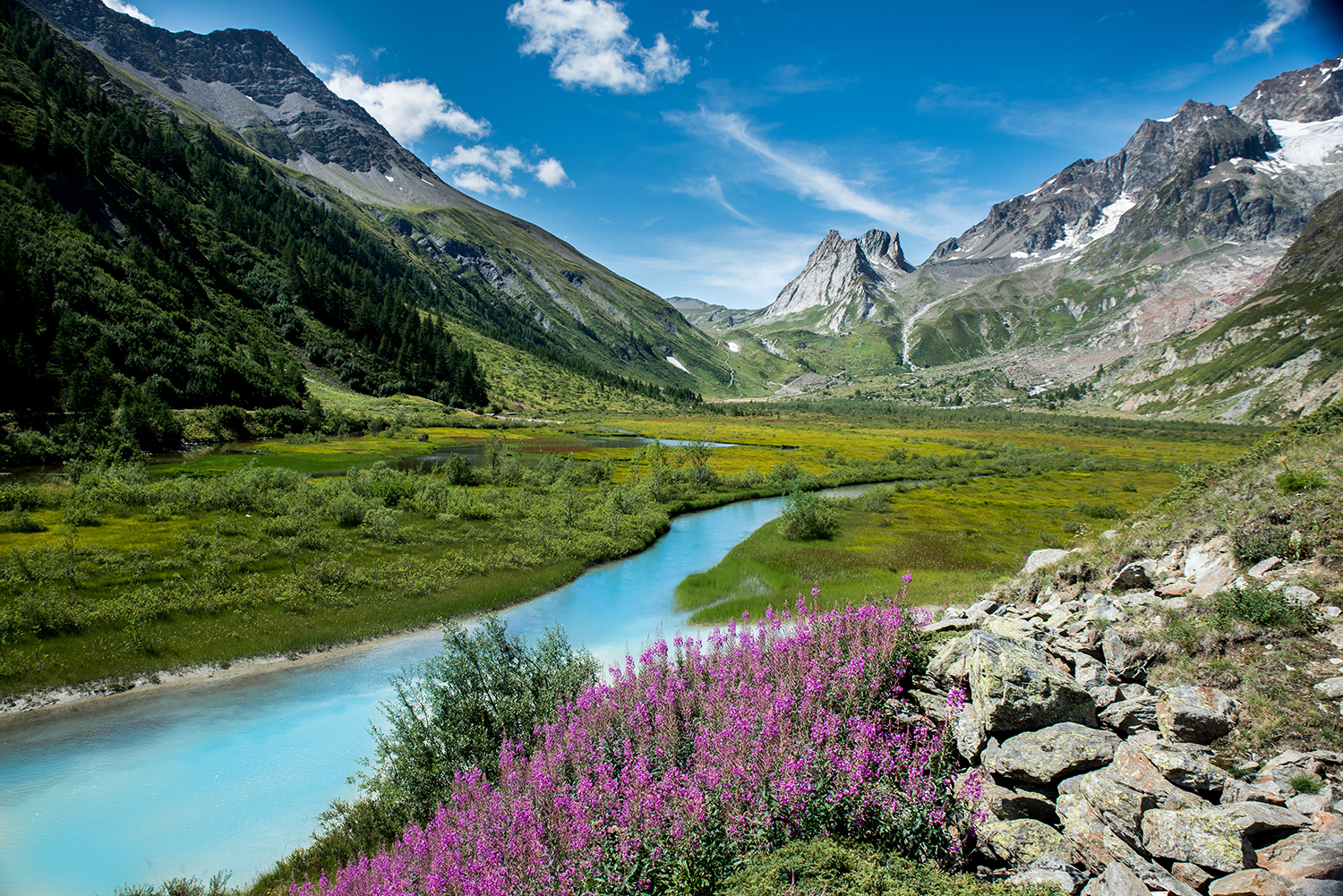 Corriente de agua y montañas en Suiza